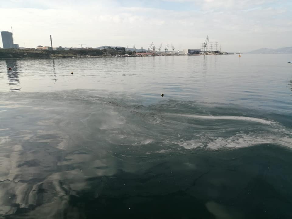 Zagađenje Jadrana, prijetnja mnogim gospodarskim sektorima