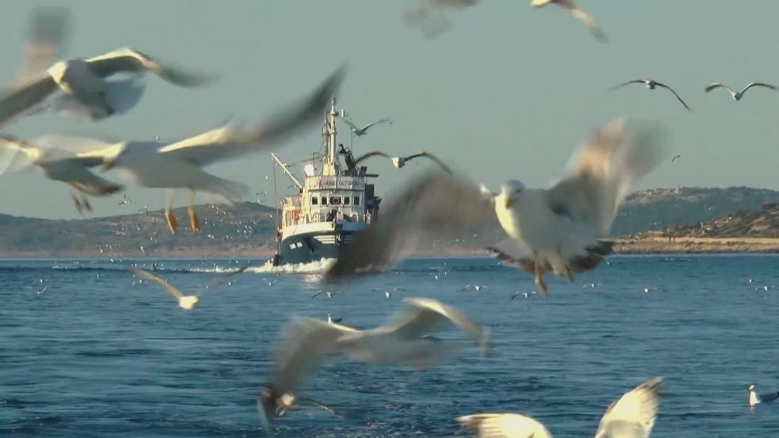 Europski parlament podržao snažnije mjere za oporavak ribljeg fonda