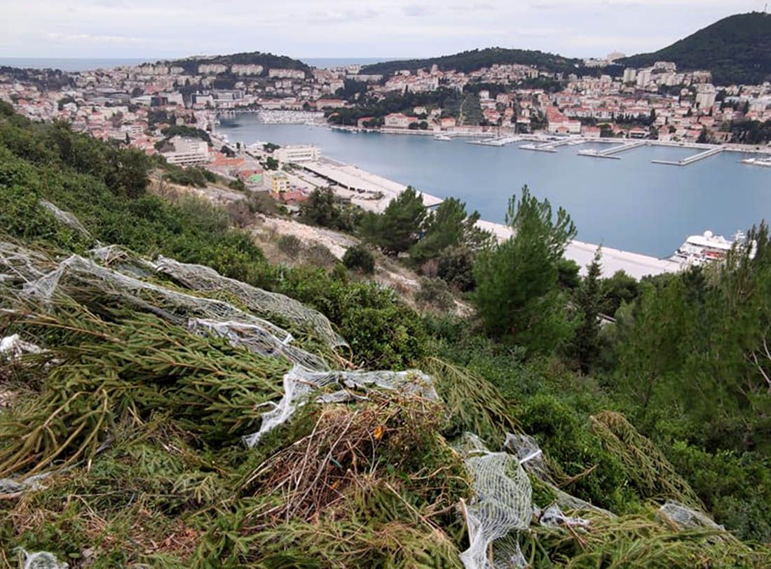 Na brdu iznad Dubrovnika netko istovario “brdo” upakiranih božićnih drvaca