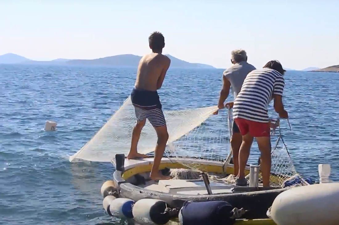 Načelnik Konavala ministrici poljoprivrede: “Produljite mogućnosti ribolova mrežama potegačama”