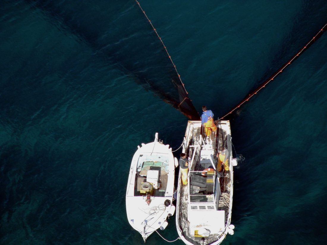 Ribari se pojadali i Dubrovačko-neretvanskom županu zbog skorog ukidanja mreža potegača