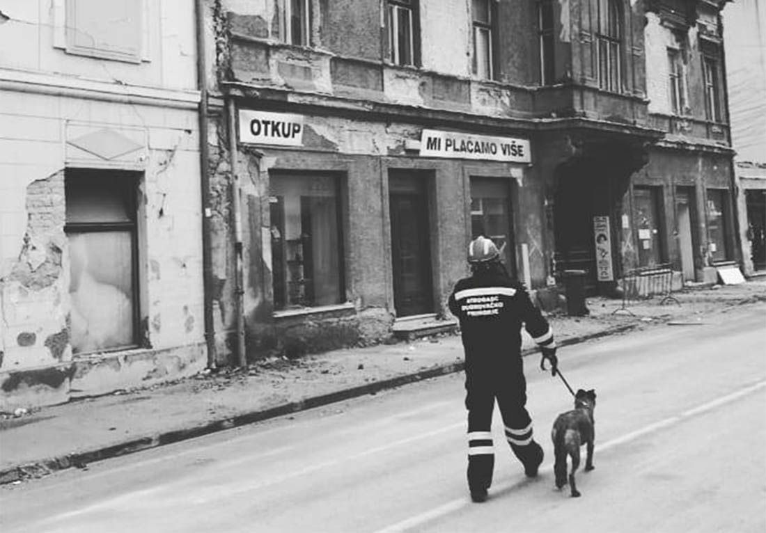 Otrovan potražni pas iz Slanog koji je s vatrogascima pretraživao ruševine u Petrinji