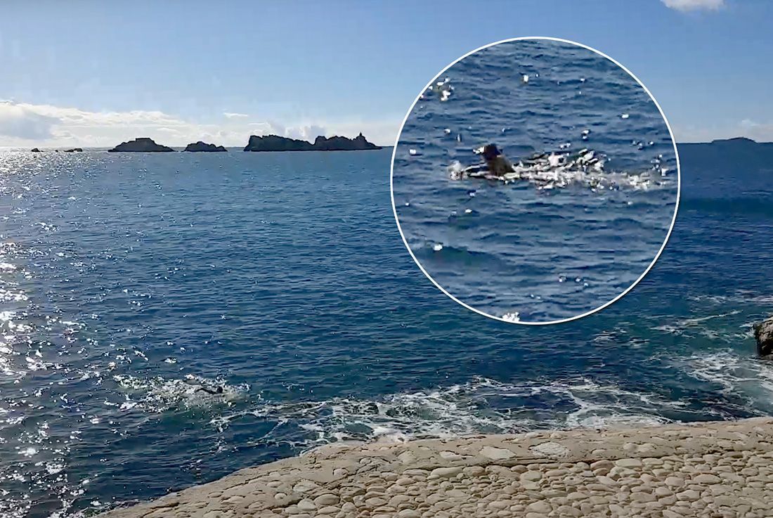 KUPANJE U VELJAČI Dvoje hrabrih u Dubrovniku nije marilo za temperature