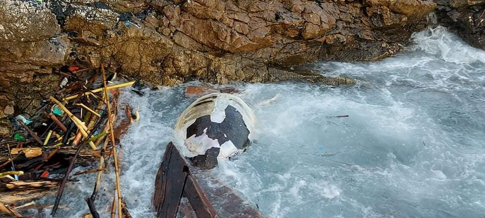 U uvali na Visu pronađena uginula glavata želva