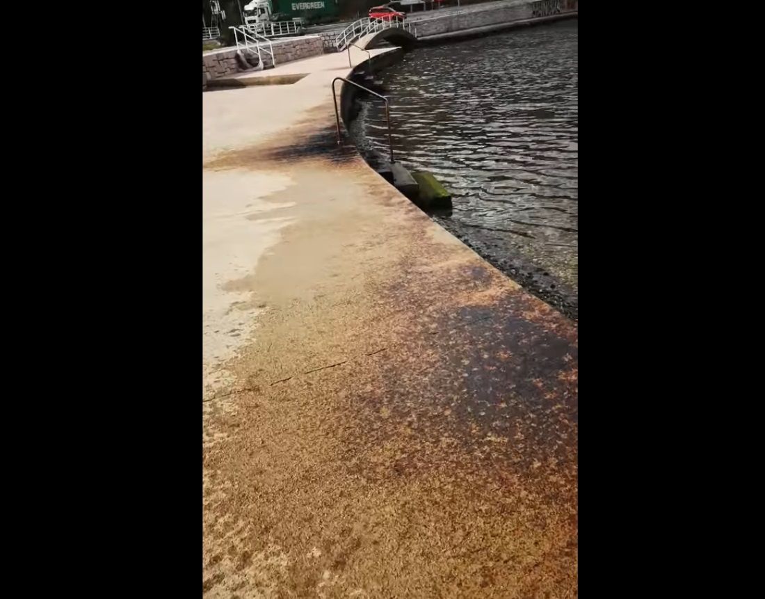 EKOLOŠKI INCIDENT U RIJECI Procurila nafta iz riječke rafinerije, zagađena plaža u Bakarcu!