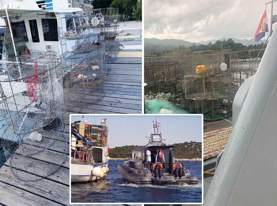 OSVRT JURICE GAŠPARA Zašto je „mali hrvacki ćovijek“ najveća štetočina u Jadranu?