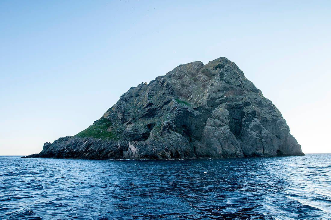 Potraga za endemskim karanfilom na Jabuci