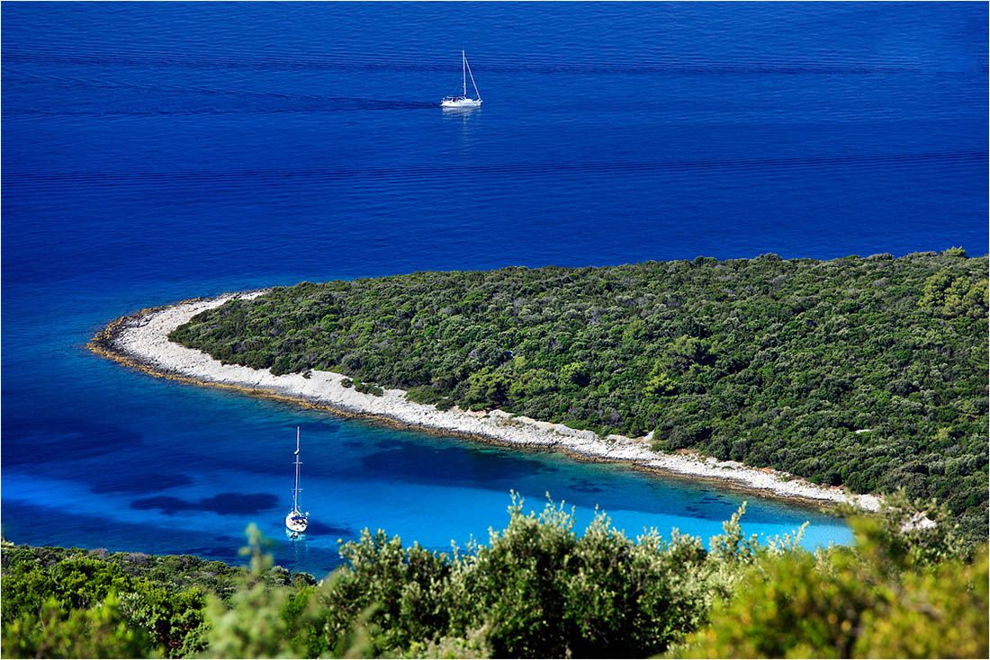 Kazneno prijavljen jer je opustošio 1500 m² hrastove šume na Malom Lošinju