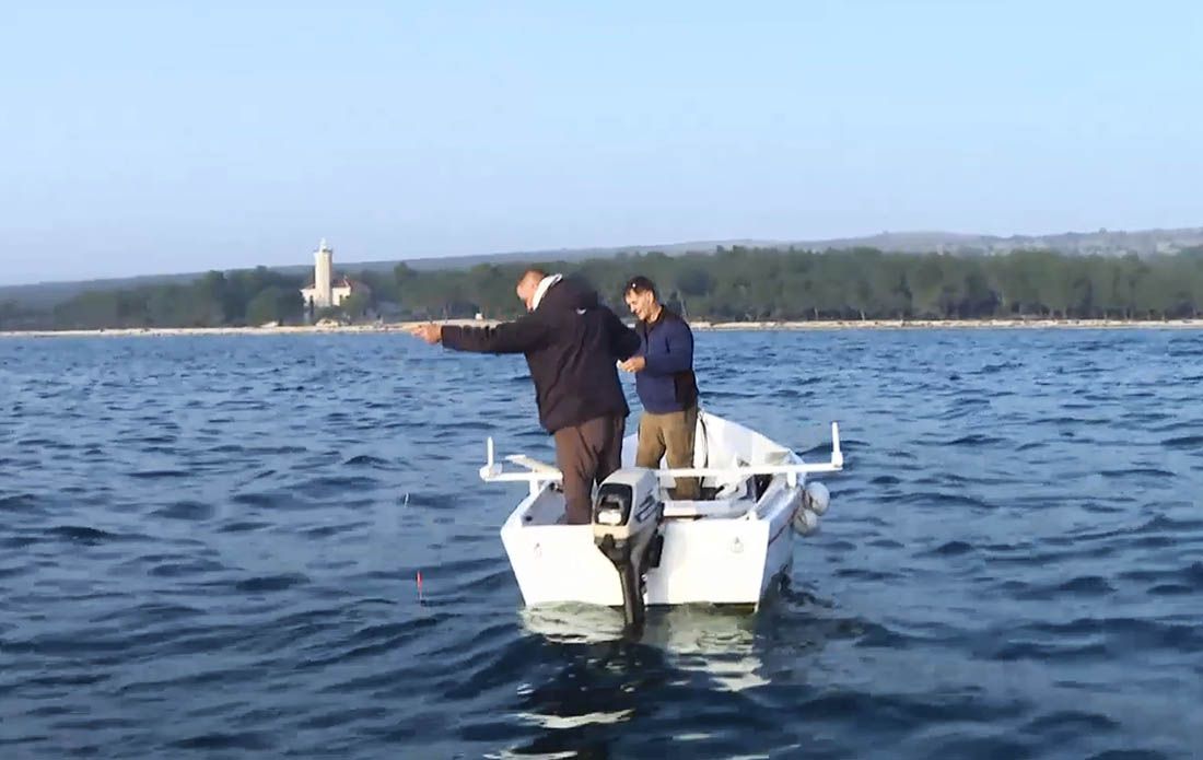 Amerikanac preselio na Vir i zaljubio se u lignjolov