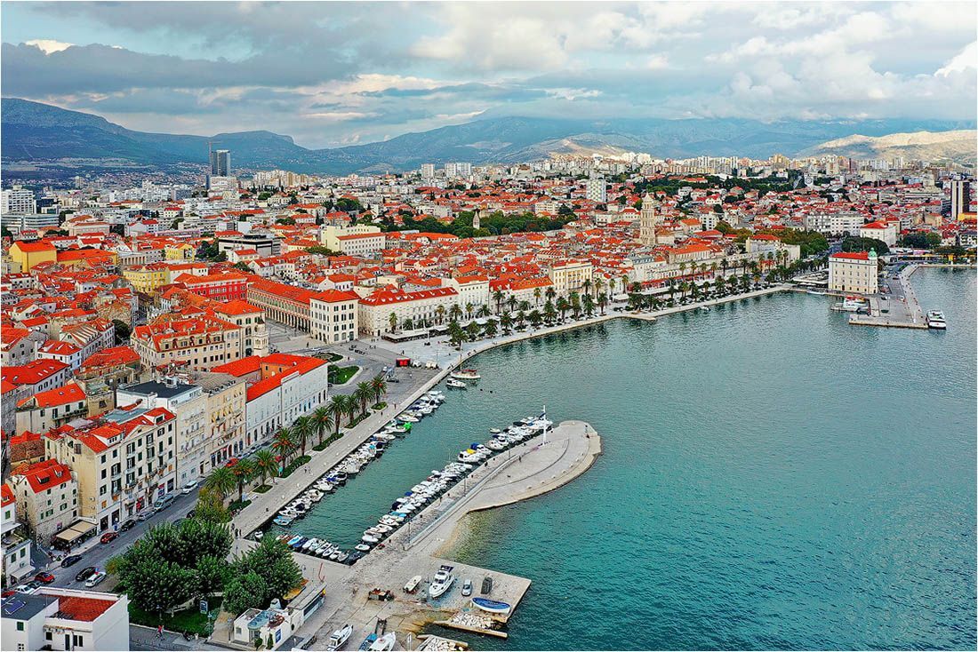 FOTO Cvit Mediterana