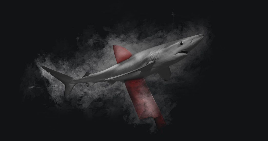 Inicijativa za zabranu trgovine perajama morskih pasa u Europi