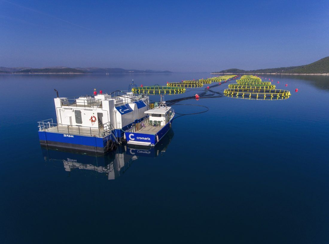 Zadarska županija Cromarisu dodijelila nagradu za postignuća u području gospodarstva