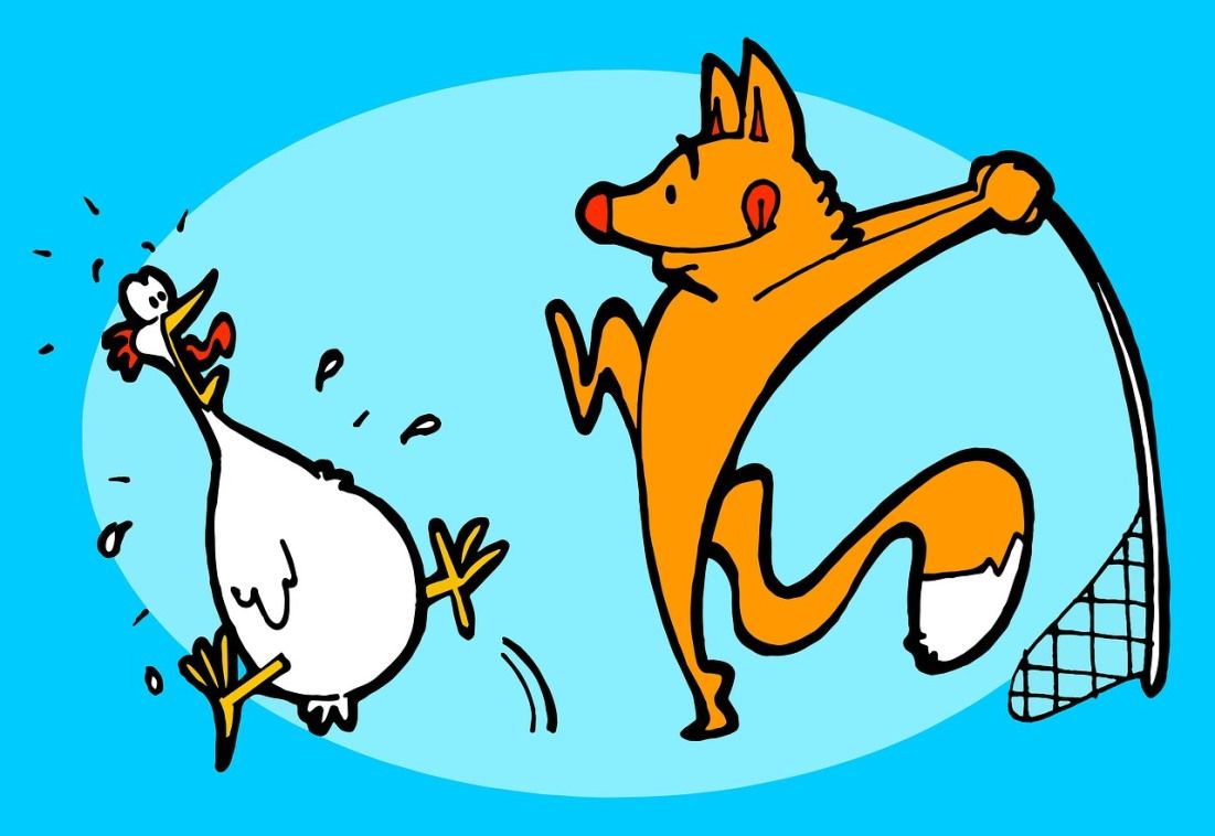 NEOBIČAN ULJEZ U ROVINJU: Lisica upala u kokošinjac, nije se dobro provela