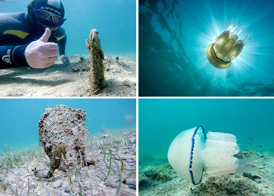 VIDEO: PRONAĐENA JE I KLARA Peta u nizu periski koja je preživjela u divljini na području Istre