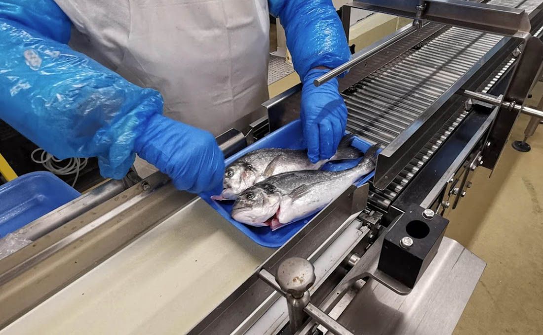 Porastao izvoz poljoprivrednih proizvoda – Nakon žitarica, najviše izvozimo ribu!