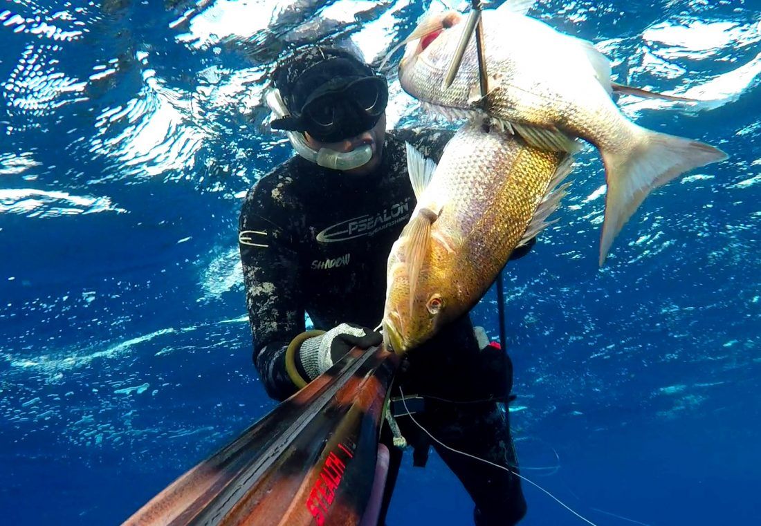 Kup Istre u podvodnom ribolovu ove godine u Umagu