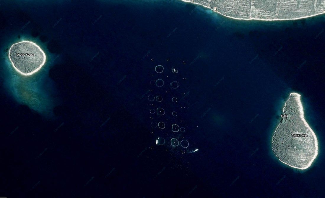 UZGAJAT ĆE 500 TONA TUNE GODIŠNJE Tvrtki Kali tuna Vlada dodijelila koncesiju na 20 godina u Iškom kanalu