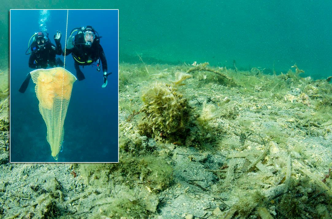 Fantastična vijest iz podmorja Lastovskog otočja:  Pronađena nova živa jedinka u južnom Jadranu