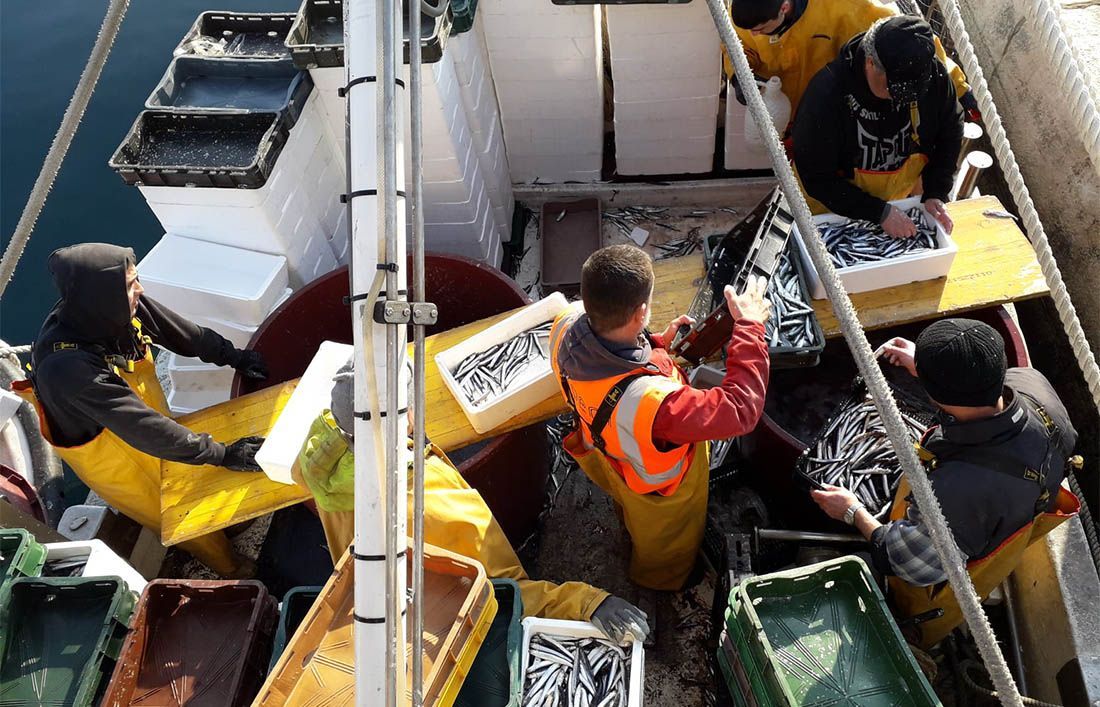 Europski parlament: Ribari i dalje vraćaju neželjeni ulov u more, to se mora zaustaviti
