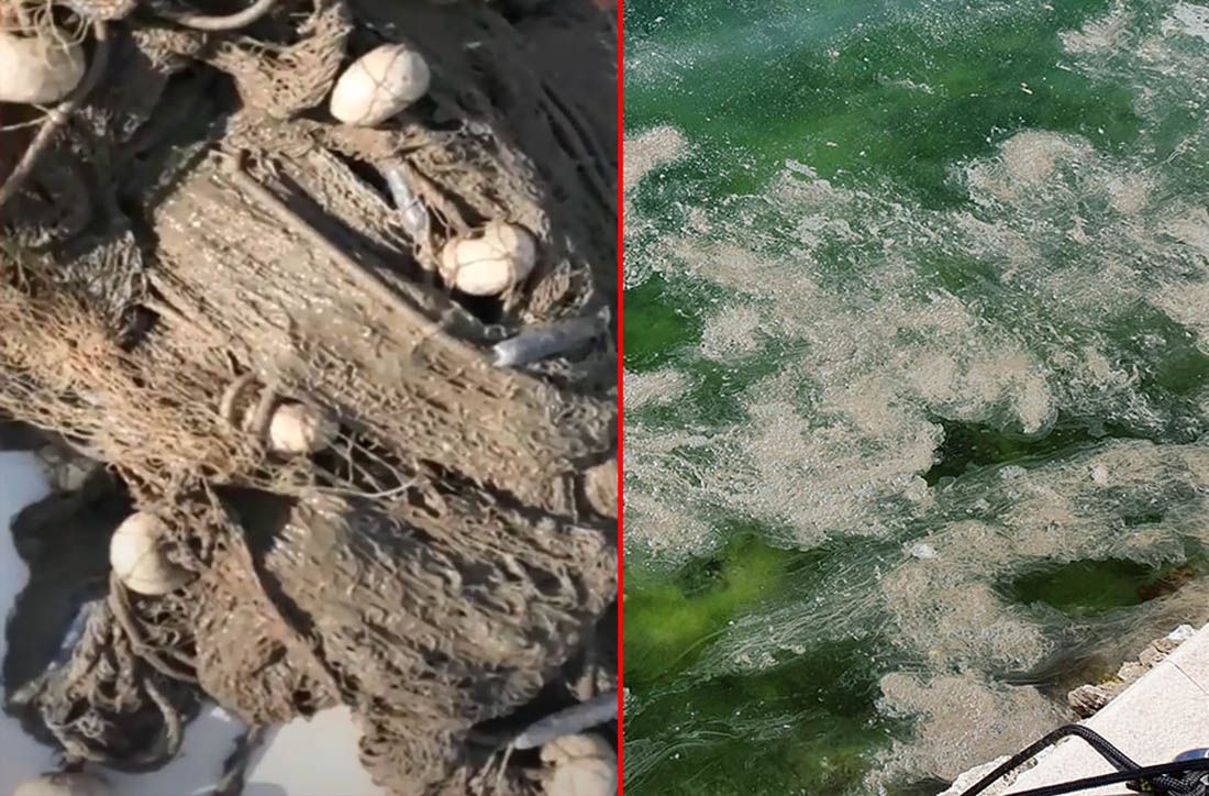 OD KUD ZAGAĐENJE U RAVSKOM KANALU? Inspekcije i uzgajalište tvrde jedno, građani i snimke nešto sasvim drugo…