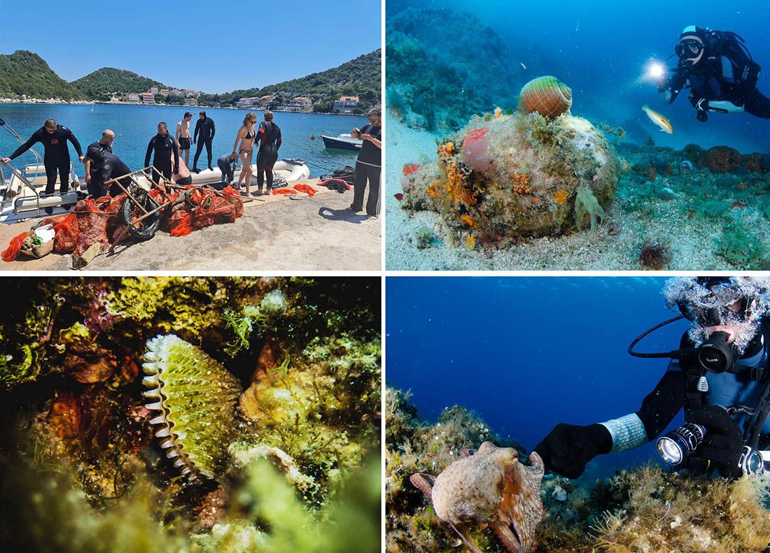 Čistili podmorje Lastova od smeća, pa naišli na predivno prirodno blago