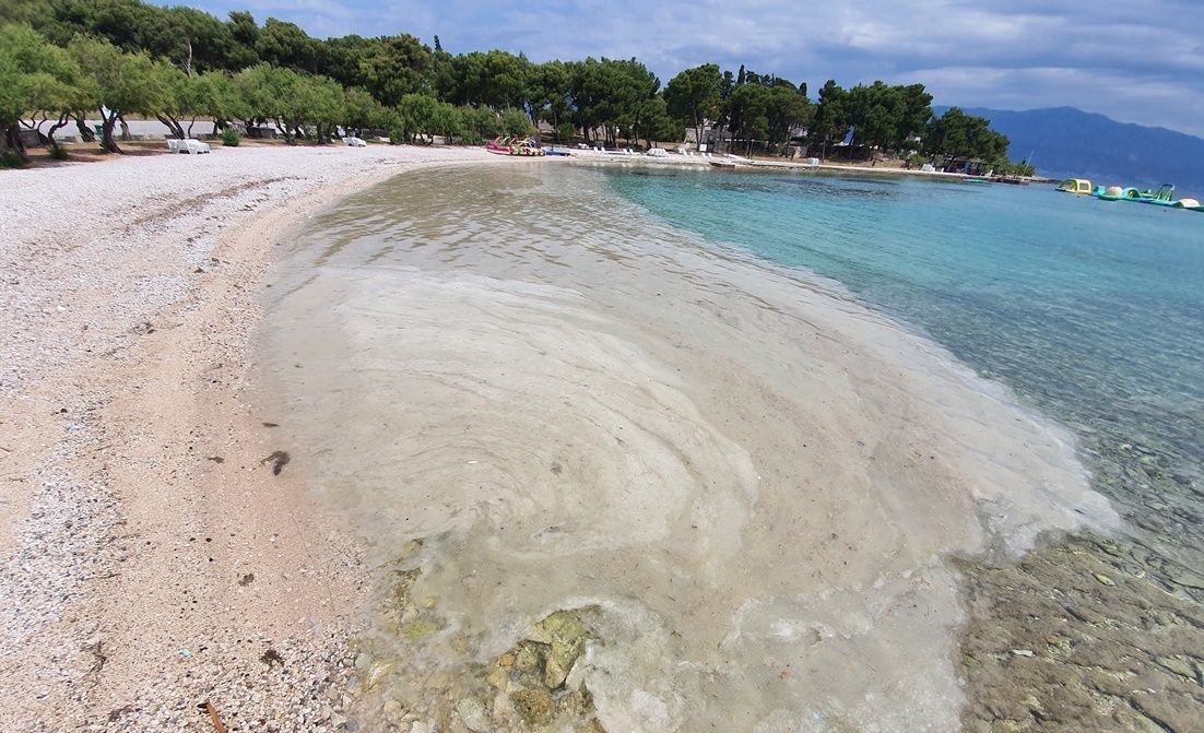 SLUZAVA TVAR I NA OBALI BRAČA: Sezona kupanja je počela, a sluz se nataložila na plaži u Supetru
