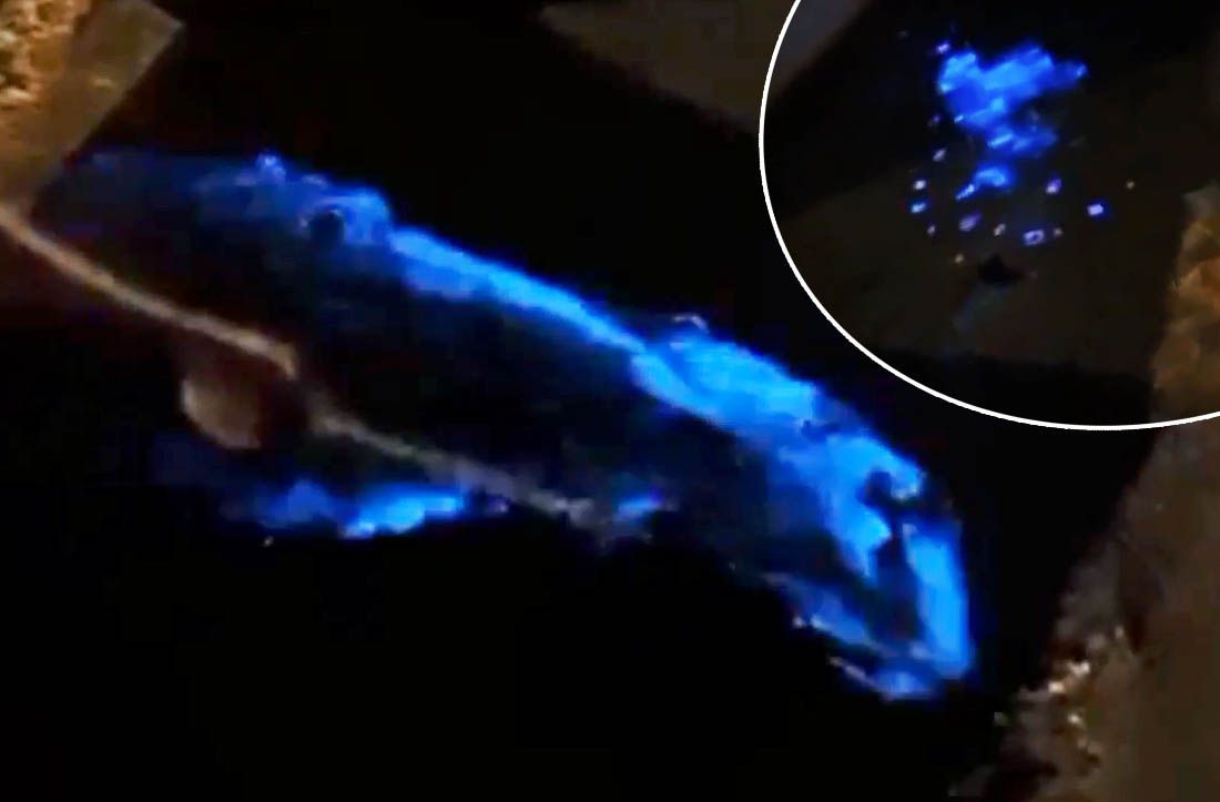 PRAVA ČAROLIJA Cvjetanje mora kod Raba noću uzrokovalo nevjerojatan fenomen!