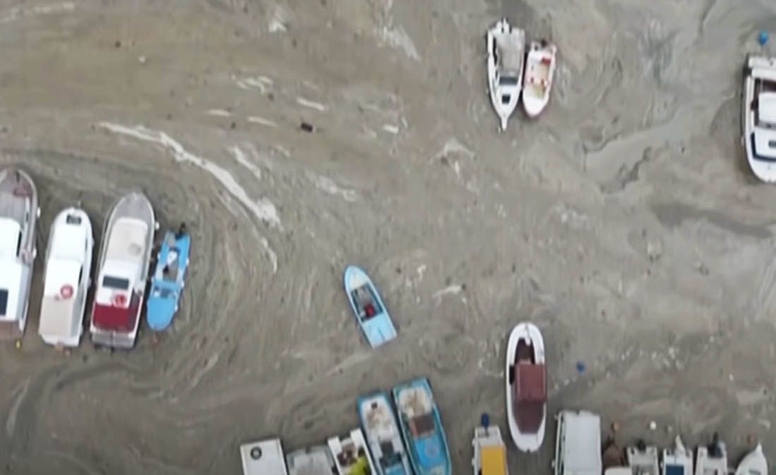 TURSKA IMA VELIKI PROBLEM Neugodna sluz na moru širi se obalom