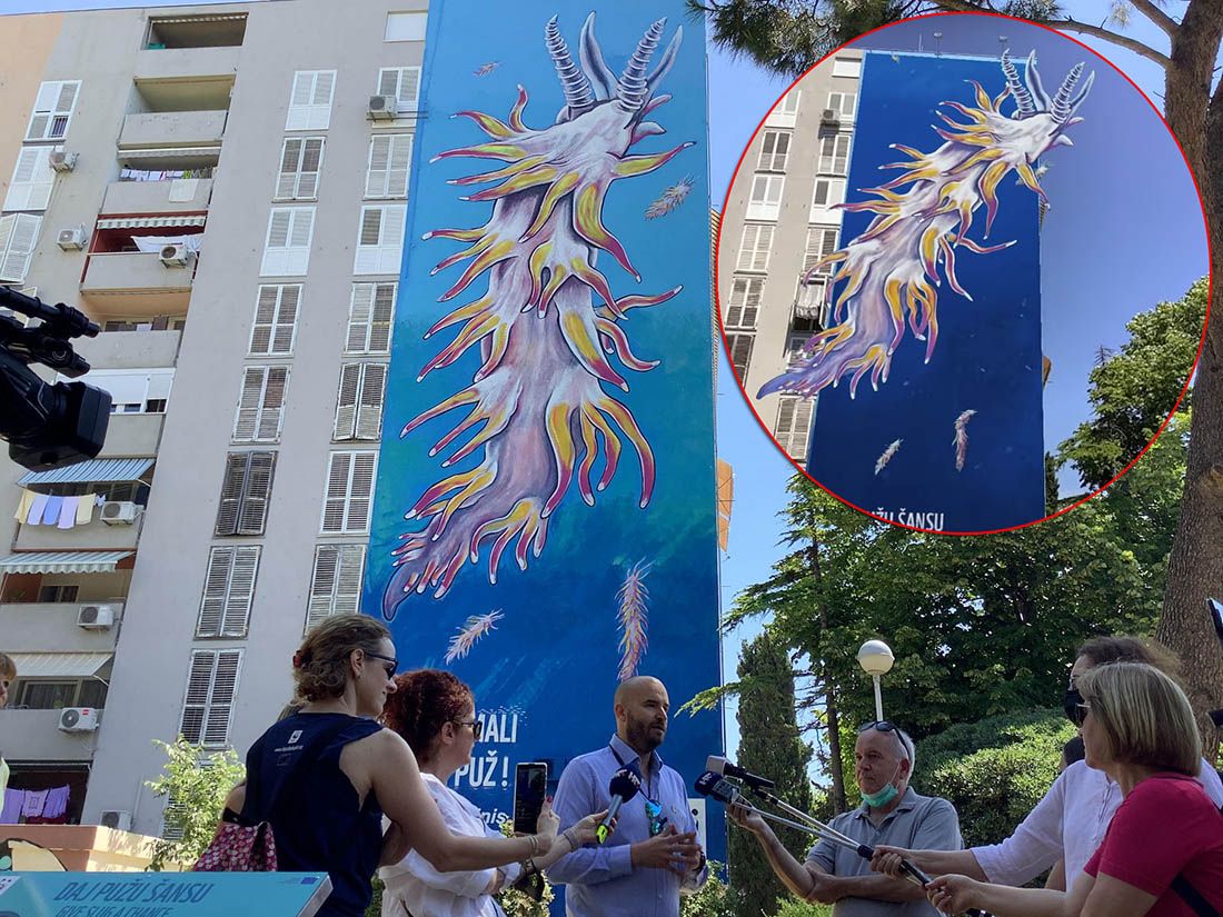 OVO MORATE VIDJETI Mali morski puž na splitskom muralu oživio!