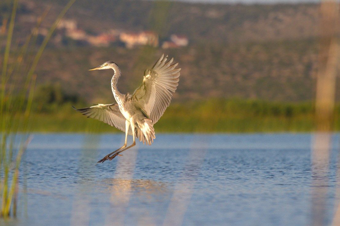 PROSLAVITE AKTIVNO SVJETSKI DAN ZAŠTITE OKOLIŠA: Provedite vikend na Vranskom jezeru