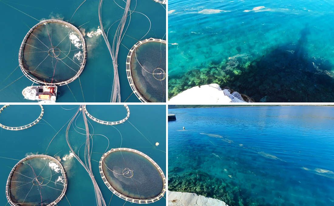 VIDEO Zagađenje mora uz uzgajalište snimljeno dronom: “U kući mi smrdi po kavezima!”