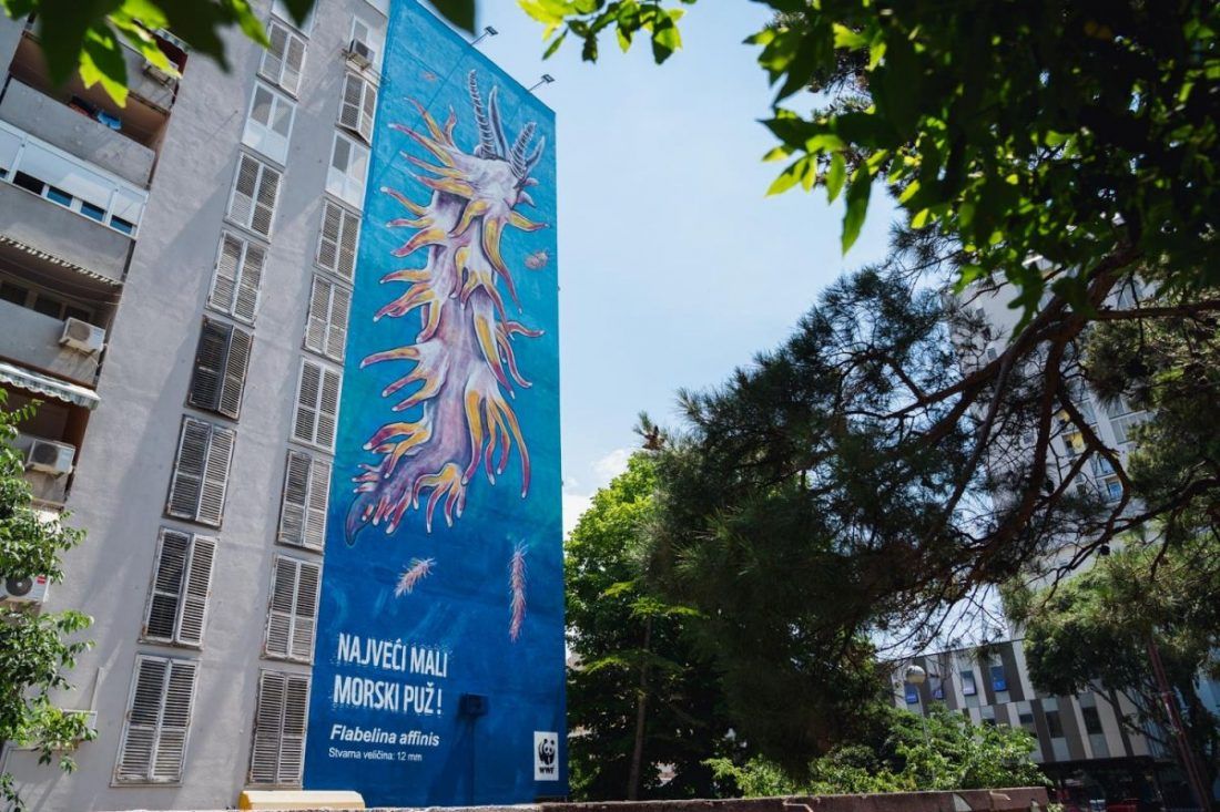 Na deseterokatnici u Splitu osvanuo najveći mali morski puž na svijetu