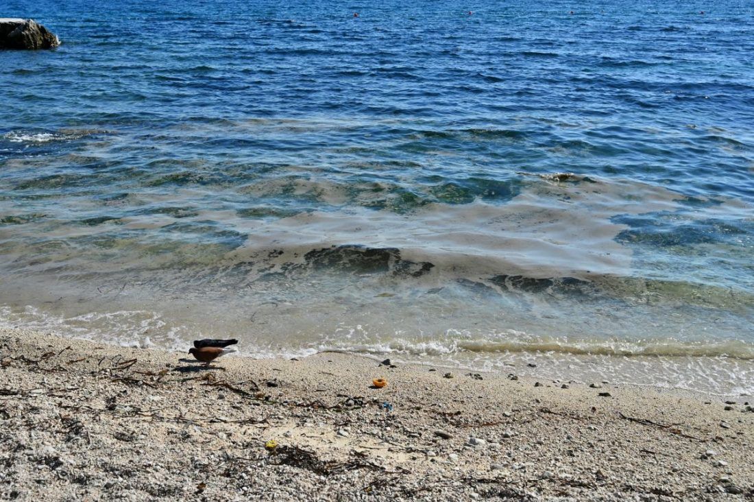 Na splitskoj plaži nekoliko osoba nasrnulo na mladi par iz Srbije