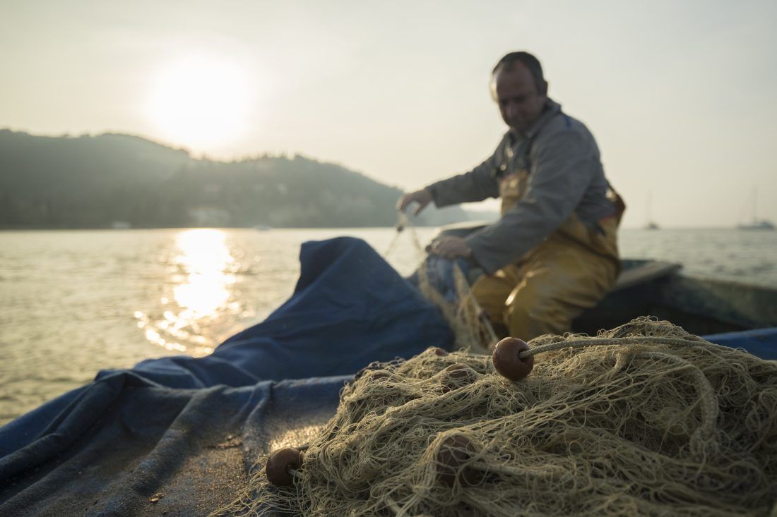 WWF Adria organizira besplatnu edukaciju za projekte programa za ribarstvo, pomorstvo i akvakulturu