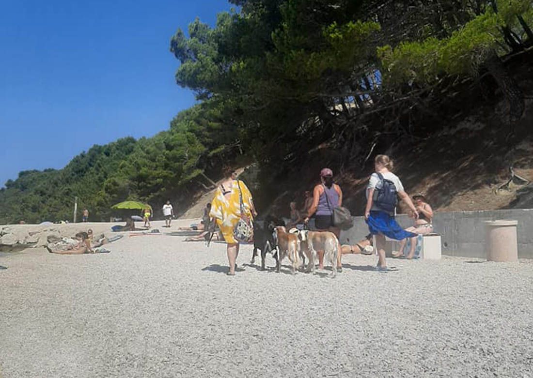 Splićanka ljuta na turiste sa psima: „Zadnjih dana na plaži ima više životinja nego ljudi!“
