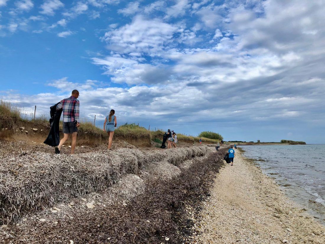 ZA ČISTE OTOKE Tjedan posvećen ekologiji kulminirao zajedničkog radnom akcijom