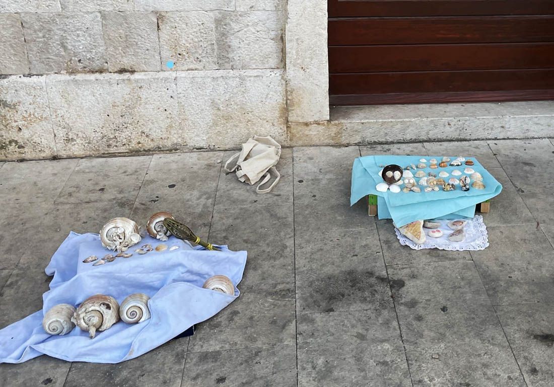 Otočka znanstvenica se pita: “Zašto viška djeca prodaju strogo zaštićene školjke i svi to gledamo?”