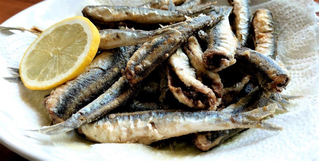 ŽELINA KUŽINA Frigani inćuni