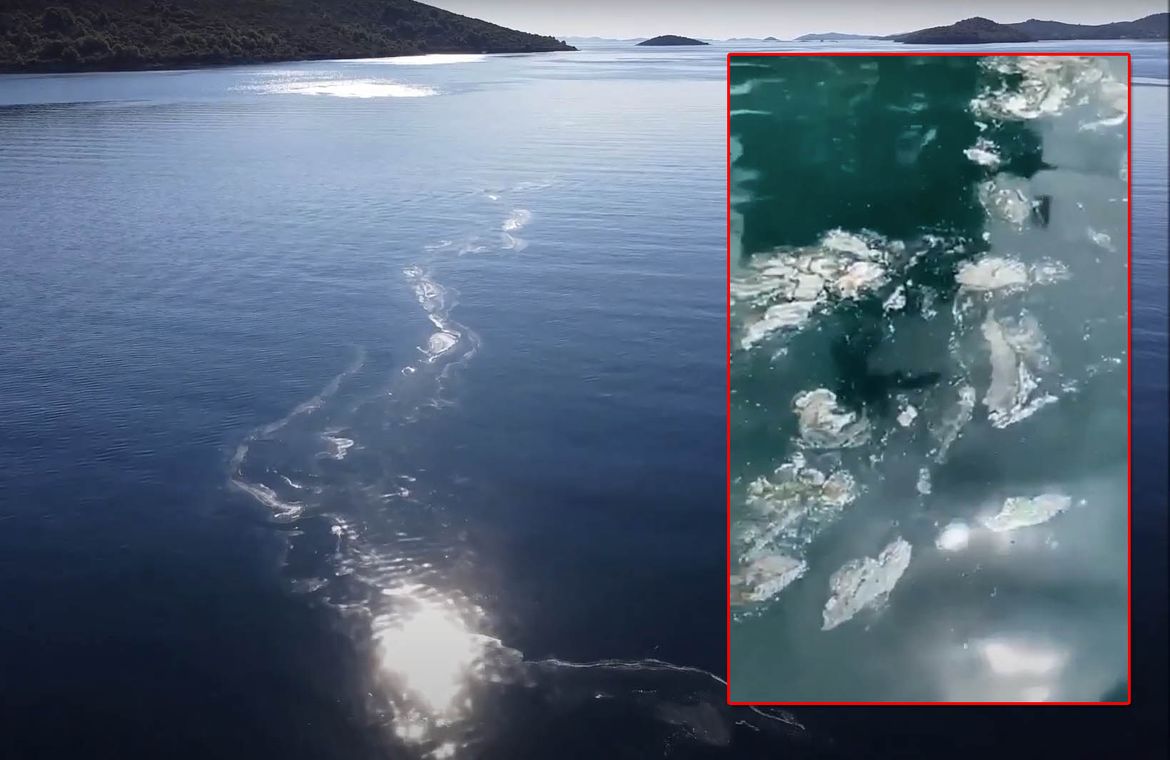 MASNE MRLJE KOD RAVE Otočani: “Nautičari izbjegavaju naš otok” – Inspektori: “To je normalno i nije samo do Cromarisa”