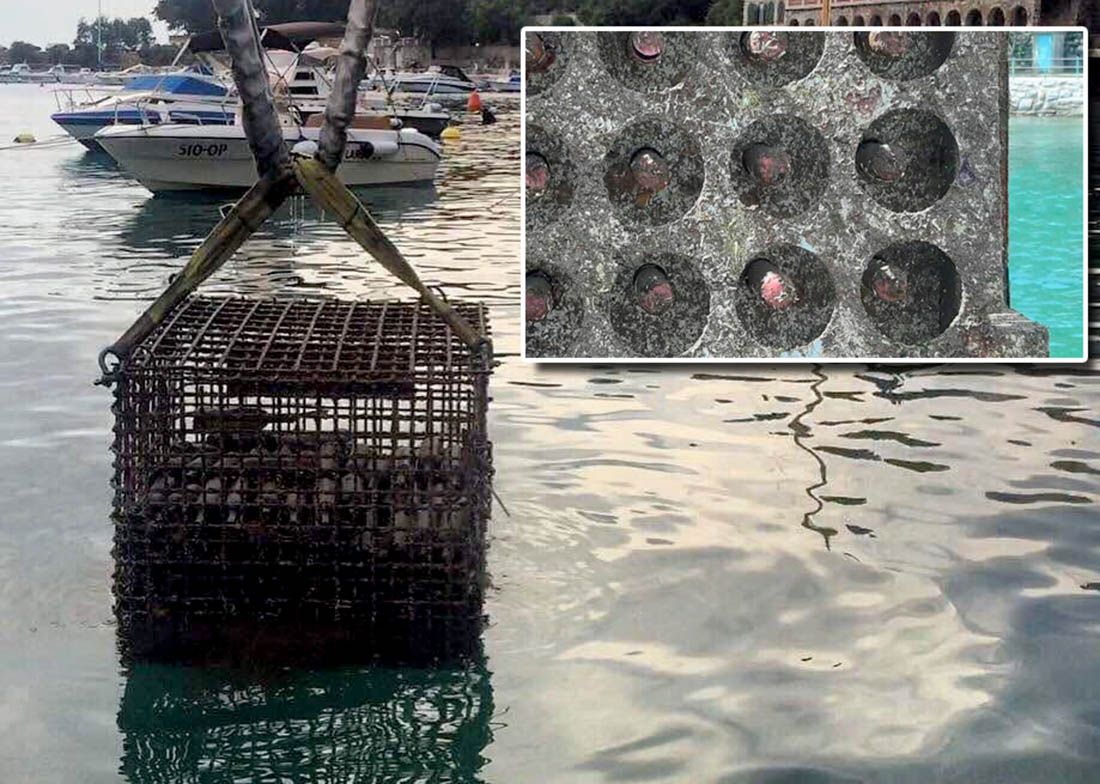 S dna mora izvađeno tri, a potopljeno pet tisuća butelja vrhunskog vina