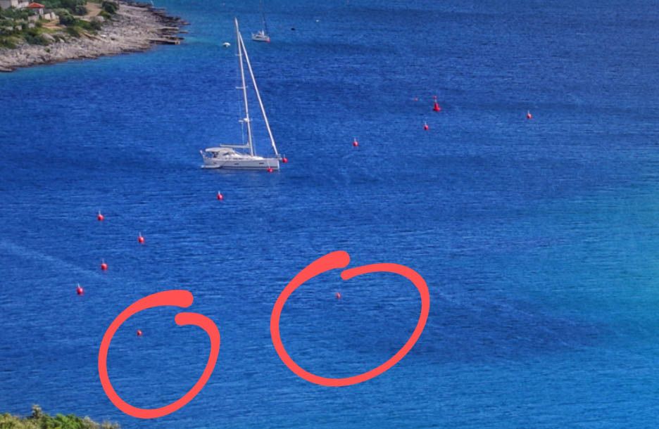 SLUČAJ SIČENICA Koncesionar nas uvjeravao da nema previše bova, a onda stigao odgovor iz županije