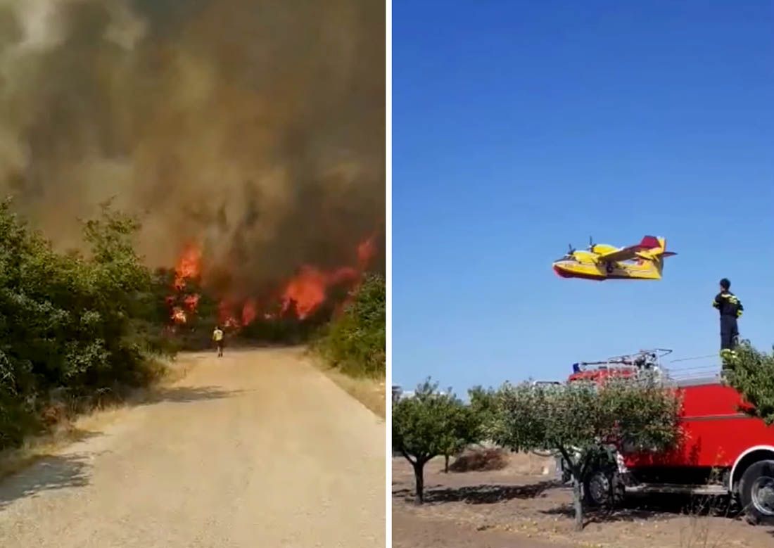 Lokaliziran veliki požar kod Sukošana, vatrogasci obranili kuće