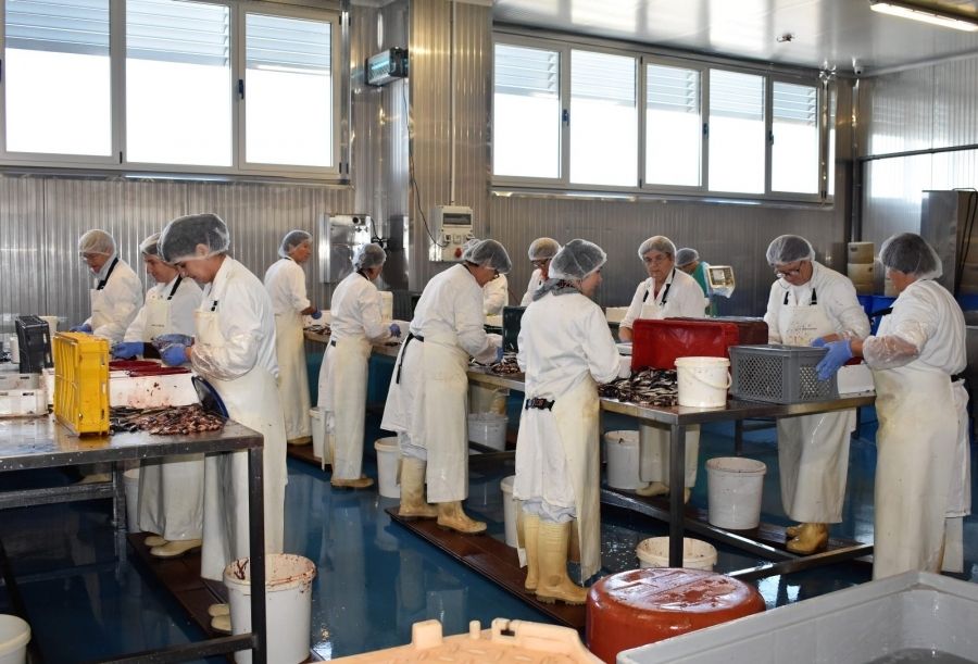 Značajan porast zaposlenih u Zadarskoj županiji