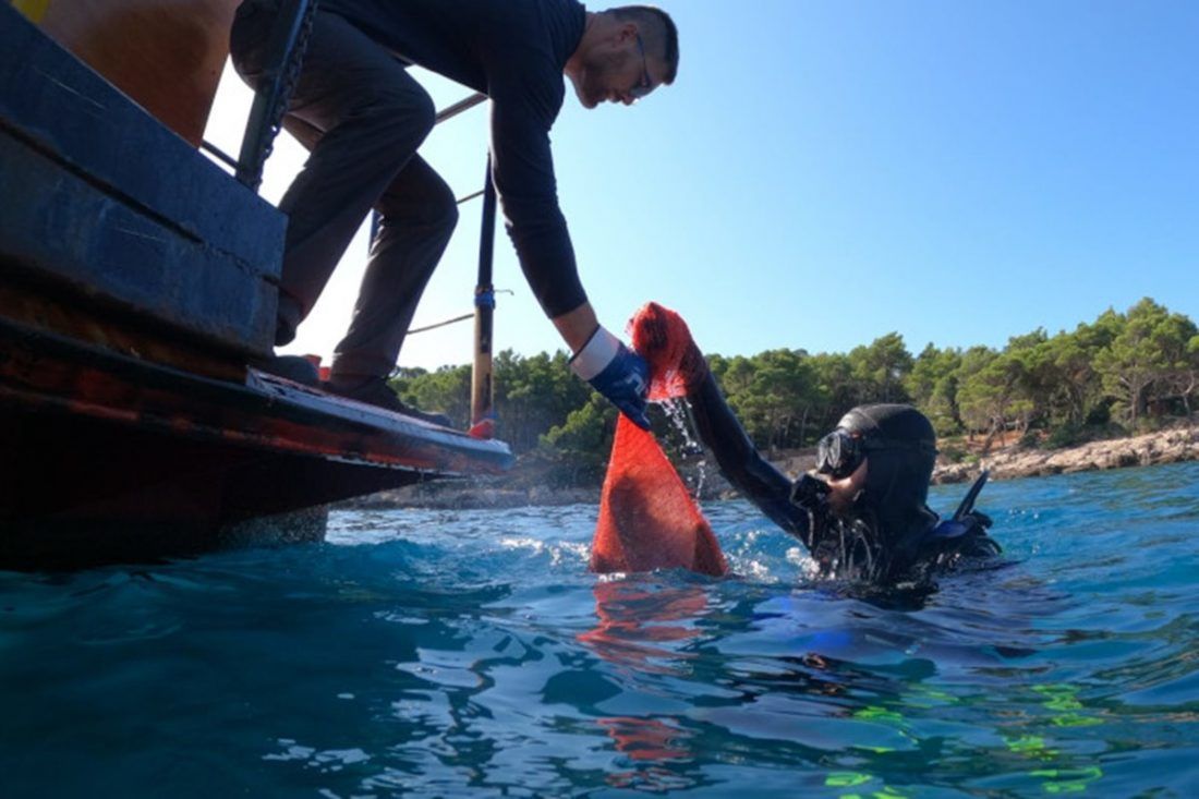 Akcija “Zelena čistka” na otocima Lokrum i Koločep