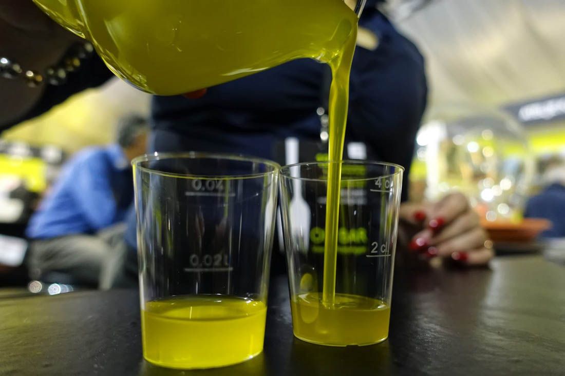 SAVJETI Pet najvažnijih savjeta za kvalitetnu preradu maslina u ulje