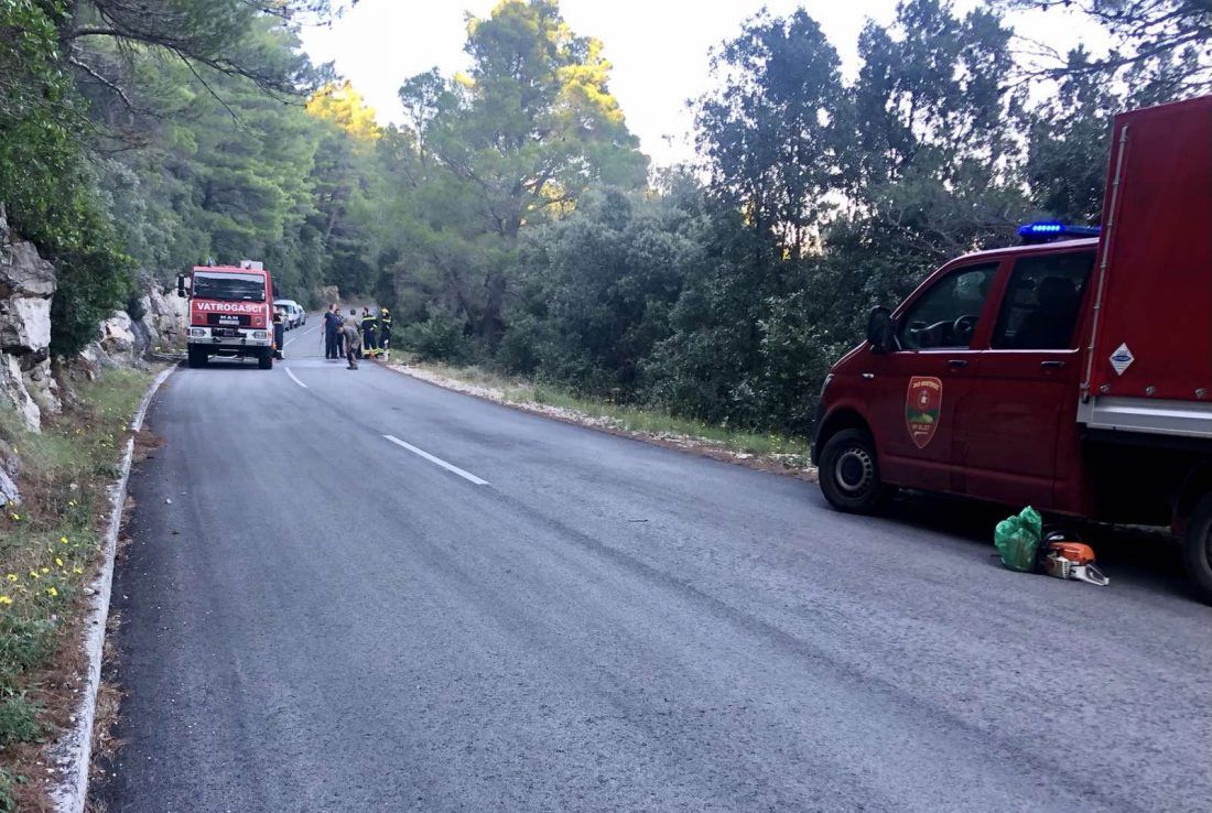 Munja uzrokovala požar u Nacionalnom parku Mljet