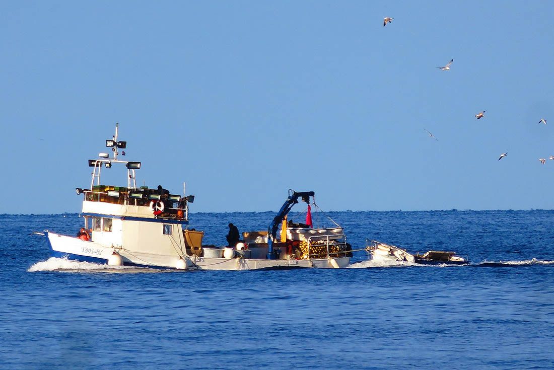 Odobreno produljenje odobrenja za ribolov malim plivaricama