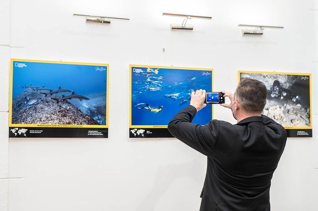 PLAVI SVIJET Fascinantna 10. izložba nagrađivanog podvodnog fotografa