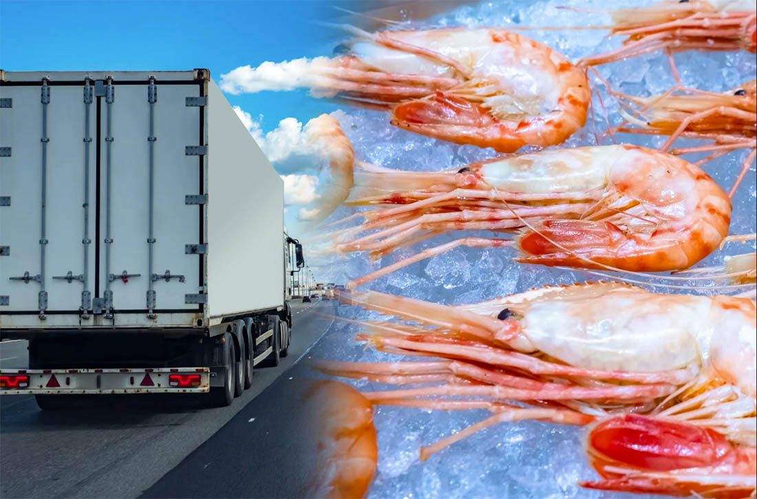 Otkriveno 700 kg kokaina skrivenog u kamionu sa škampima