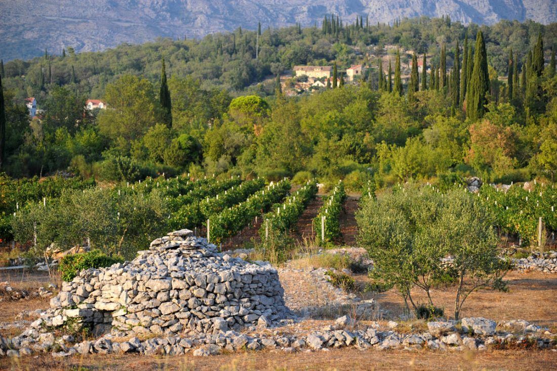 The Guardian je među 10 najljepših jesenskih mjesta za odmor uvrstio i Konavle